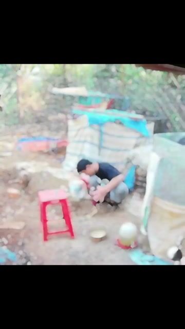 Gà chọi 3 kg. Mua bán Gà tại Thành phố Buôn Ma Thuột Đắk Lắk được đăng bởi phạm danh hình 1