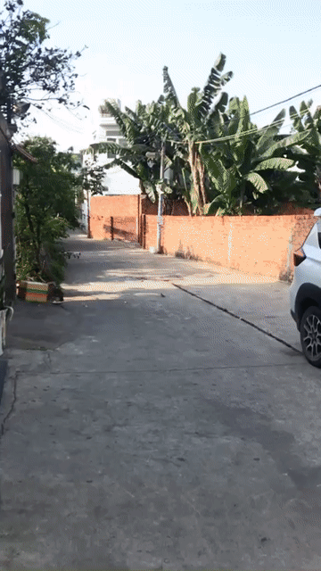 Mua bán Nhà ở Thành phố Thủ Đức Tp Hồ Chí Minh diện tích 160 m² giá 13,1 tỷ