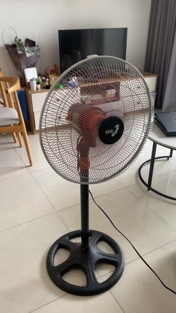 Quạt đứng ASIA D18001 Đen Việt Nam. Mua bán Quạt tại Huyện Bình Chánh Tp Hồ Chí Minh được đăng bởi Lynn Tran hình 1