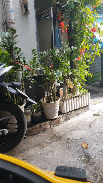 Mua bán Nhà ở Quận Bình Thạnh Tp Hồ Chí Minh diện tích 57 m² giá 6,5 tỷ