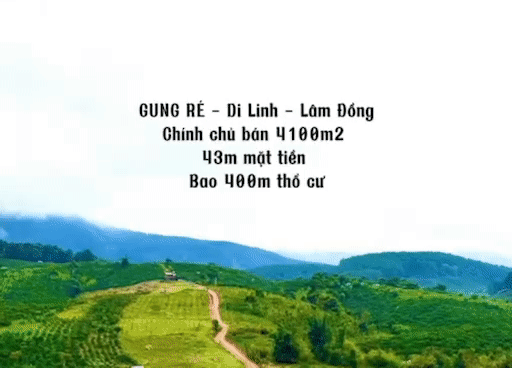 Mua bán Đất Huyện Di Linh Lâm Đồng diện tích 4100 m² giá 3,5 tỷ