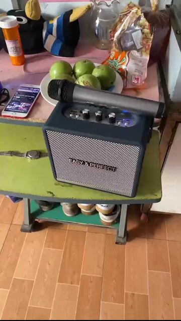 Loa karaoke Easy & Perfect Xám. Mua bán Tivi, Âm thanh tại Quận 7 Tp Hồ Chí Minh được đăng bởi Lâm Hiếu hình 1