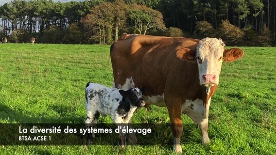 la culture de la précision