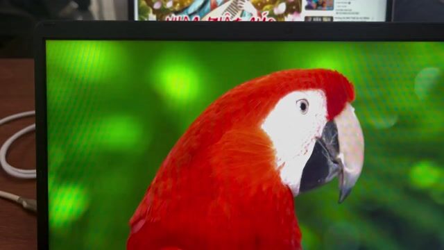 NEC VersaPro VC-9 i5-1130G7 12.5 inch 8GB/256GB. Mua bán Laptop tại Quận Bình Tân Tp Hồ Chí Minh được đăng bởi Tài huỳnh hình 1