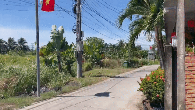 Mua bán Đất Huyện Thủ Thừa Long An diện tích 194 m² giá 1,1 tỷ