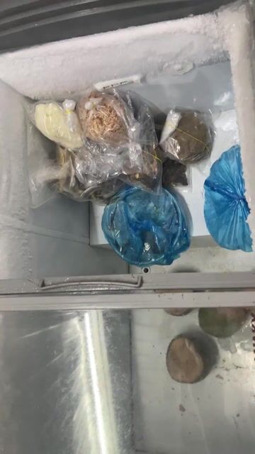 Tủ đông Sanaky Trắng. Mua bán Tủ lạnh tại Huyện Phong Điền Cần Thơ được đăng bởi Chi Hieu hình 1