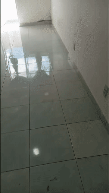 Cho thuê Căn hộ Chung cư Lê Thành Tân Tạo Quận Bình Tân Tp Hồ Chí Minh diện tích 37 m² giá 3,8 triệu/tháng