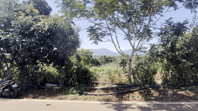 Mua bán Đất Huyện Di Linh Lâm Đồng diện tích 950 m² giá 3,25 tỷ