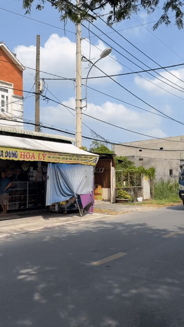 Mua bán Đất Huyện Củ Chi Tp Hồ Chí Minh diện tích 149 m² giá 500 triệu