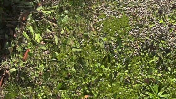 Cauchemar en entreprise!