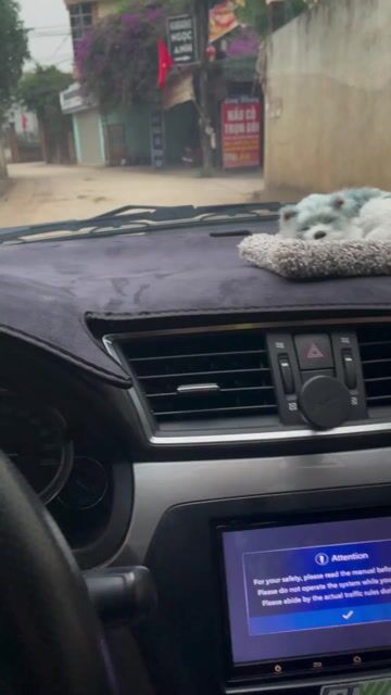 Suzuki Ciaz 2019 STD 100000 km. Mua bán Ô tô tại Huyện Ba Vì Hà Nội được đăng bởi Lê văn lượng hình 1