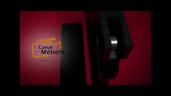 avez-vous déjà vu... le métier de l'informatique