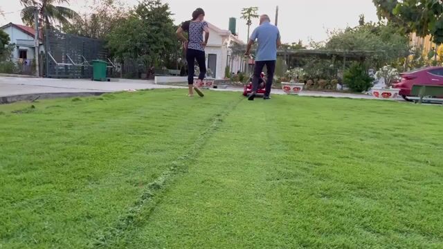 Máy cắt cỏ sân golf.sân vườn sân bóng.trang trại. Mua bán Phương tiện khác tại Quận 8 Tp Hồ Chí Minh được đăng bởi Nguyen van duc hình 1
