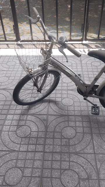 Xe đạp inox. Mua bán Xe đạp tại Thành phố Biên Hòa Đồng Nai được đăng bởi mai vàng hình 1