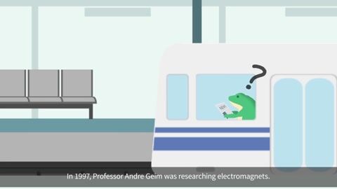 What Happens Between Frog and Maglev Train?