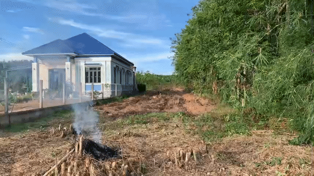 Mua bán Đất Huyện Dầu Tiếng Bình Dương diện tích 3632 m² giá 3,9 tỷ