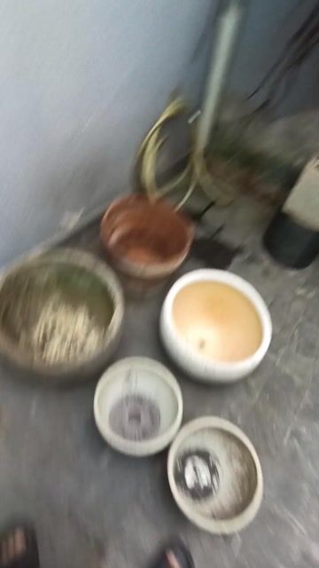 Chậu cây Xi măng Đất nung Trắng Nâu Tròn Lớn. Mua bán Cây cảnh, đồ trang trí tại Quận Phú Nhuận Tp Hồ Chí Minh được đăng bởi Don Le hình 1