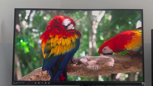 Màn hình MSI MP251 24 inch. Mua bán Phụ kiện (Màn hình, Chuột...) tại Huyện Bình Sơn Quảng Ngãi được đăng bởi thành đô hình 1