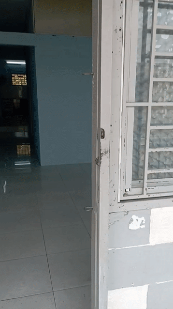 Cho thuê Căn hộ Chung cư Chung cư Ngô Gia Tự Quận 10 Tp Hồ Chí Minh diện tích 40 m² giá 5 triệu/tháng