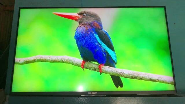 Tivi Sony 43 inch. Mua bán Tivi, Âm thanh tại Quận 7 Tp Hồ Chí Minh được đăng bởi Điện Lạnh Hồng Phúc hình 1