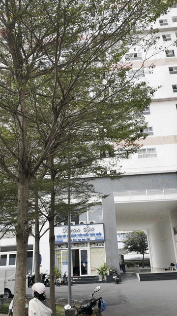 Cho thuê Văn phòng, Mặt bằng kinh doanh 9 View Apartment Thành phố Thủ Đức Tp Hồ Chí Minh diện tích 160 m² giá 18 triệu/tháng