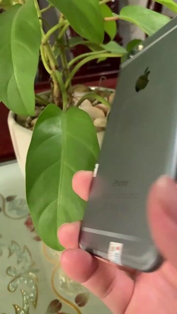 Apple iPhone 6 Bạc Đã dùng. Mua bán Điện thoại tại Thành phố Thủ Dầu Một Bình Dương được đăng bởi thaibinh hình 1