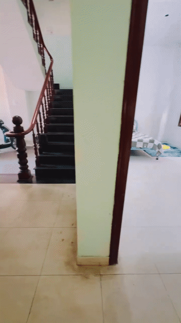 Cho thuê Phòng trọ Quận Bình Thạnh Tp Hồ Chí Minh diện tích 18 m² giá 3,5 triệu/tháng