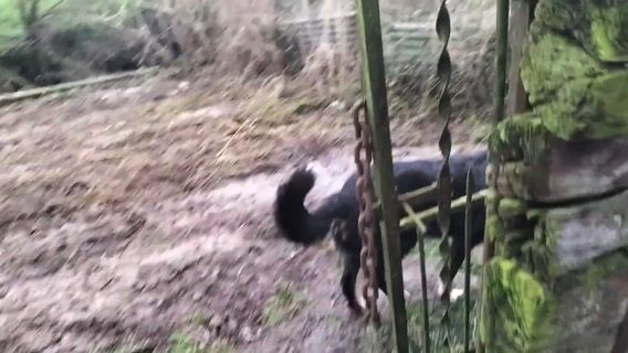 Thiérache : élever l'avenir avec passion et authenticité