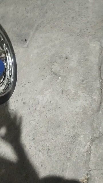 Honda Cub 1981-1990 Xanh Trắng. Mua bán Xe máy tại Quận 7 Tp Hồ Chí Minh được đăng bởi Pham Van Thuy hình 1