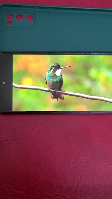 Samsung S20FE 256GB Đen. Mua bán Điện thoại tại Quận 4 Tp Hồ Chí Minh được đăng bởi Trần bích long hình 1