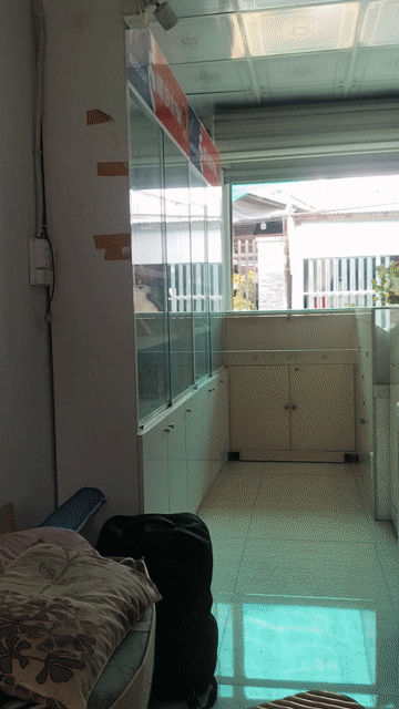 Mua bán Văn phòng, Mặt bằng kinh doanh Huyện Châu Phú An Giang diện tích 51.7 m² giá 390 triệu