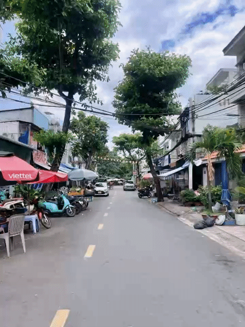 Mua bán Đất Quận 8 Tp Hồ Chí Minh diện tích 88 m² giá 6,2 tỷ
