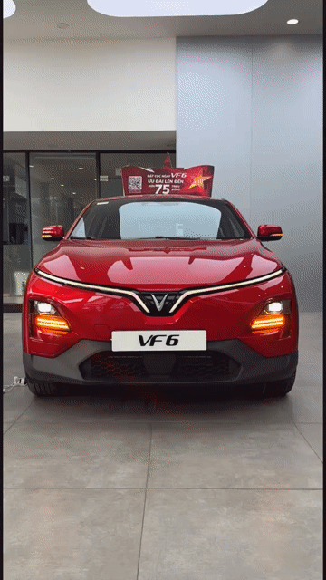 VF6 BANK 90%+BAO NỢ XẤU+LÃI 4.8% 3NĂM+TẶNG 70TR. Mua bán Ô tô tại Quận Tân Bình Tp Hồ Chí Minh được đăng bởi KỲ hình 1