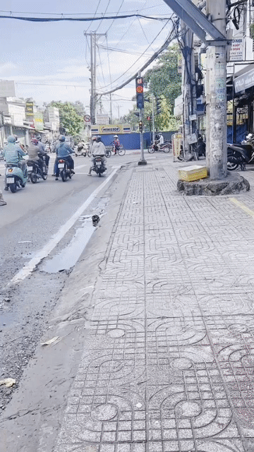 Mua bán Nhà ở Quận 6 Tp Hồ Chí Minh diện tích 106 m² giá 16,9 tỷ