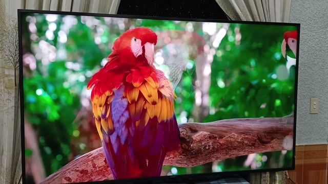 Tivi Sony KD-75X8000H 4K Ultra HD. Mua bán Tivi, Âm thanh tại Quận Tân Bình Tp Hồ Chí Minh được đăng bởi Thạch Trần hình 1