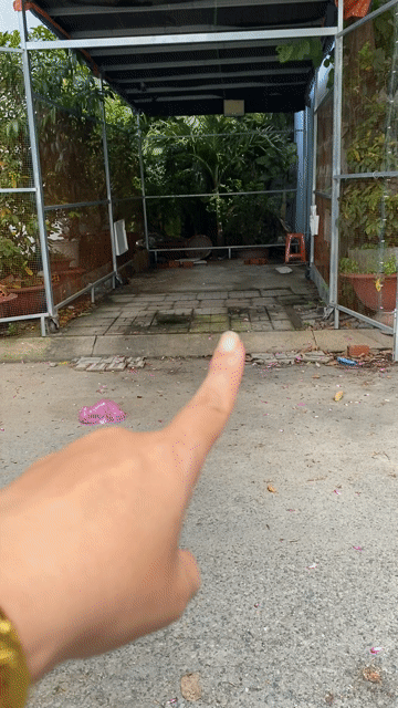 Mua bán Đất KDC Chợ Bình Điền Quận 8 Tp Hồ Chí Minh diện tích 80 m² giá 3,95 tỷ