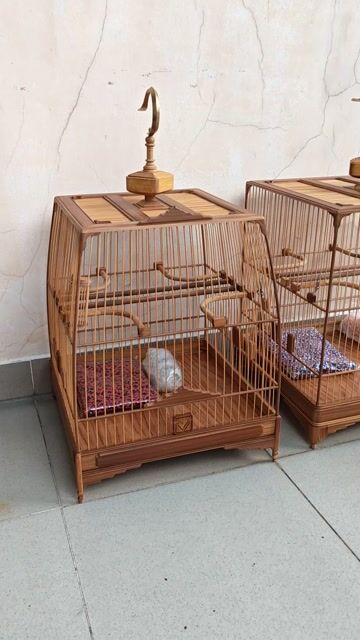 Lồng chào mào hàng đặt mới 100%. Mua bán Phụ kiện, Thức ăn, Dịch vụ tại Quận 4 Tp Hồ Chí Minh được đăng bởi Tuan luong hình 1