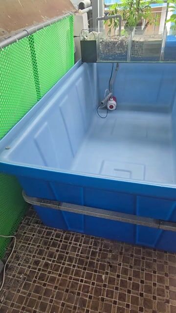 Bể nhựa nuôi cá 205x107x65 cm. Mua bán Phụ kiện, Thức ăn, Dịch vụ tại Quận 11 Tp Hồ Chí Minh được đăng bởi Lê Phong hình 1