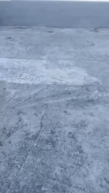Cho thuê Đất Khu dân cư Phú Lợi Quận 8 Tp Hồ Chí Minh diện tích 3000 m² giá 50 triệu/tháng
