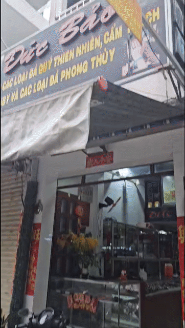 Mua bán Nhà ở Quận 5 Tp Hồ Chí Minh diện tích 50 m² giá 16,5 tỷ