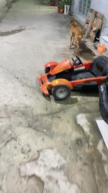 xe đua thể thao. Mua bán Phương tiện khác tại Huyện Cần Đước Long An được đăng bởi Tên chưa cung cấp hình 1