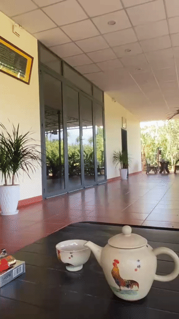 Mua bán Đất Huyện Châu Đức Bà Rịa - Vũng Tàu diện tích 1239 m² giá 1,65 tỷ