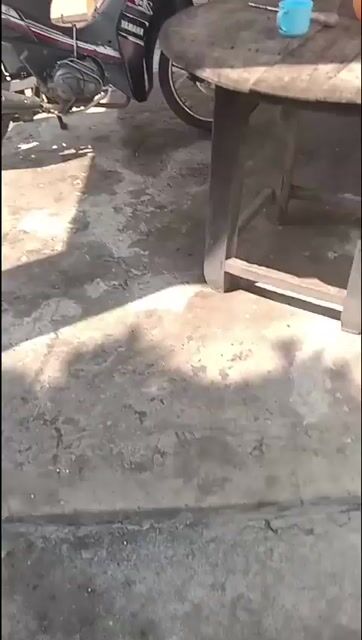 Sirius Fi. Mua bán Xe máy tại Thành phố Tây Ninh Tây Ninh được đăng bởi huy hình 1