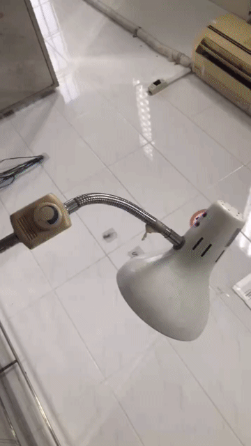 Cho thuê Nhà ở Quận 7 Tp Hồ Chí Minh diện tích 100 m² giá 15 triệu/tháng