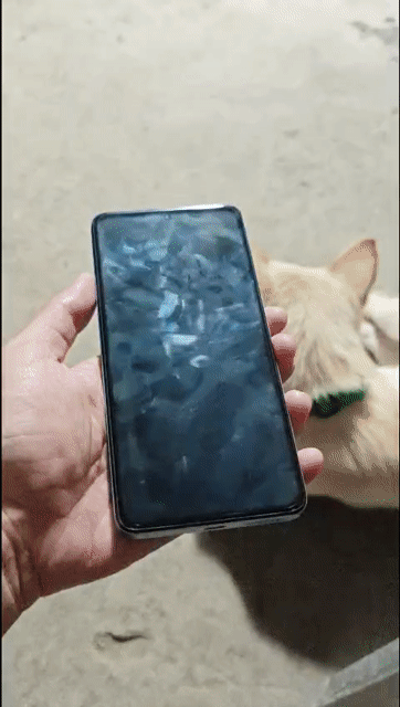Xiaomi Redmi Xanh. Mua bán Điện thoại tại Huyện Chợ Mới An Giang được đăng bởi Tâm Xì hình 1