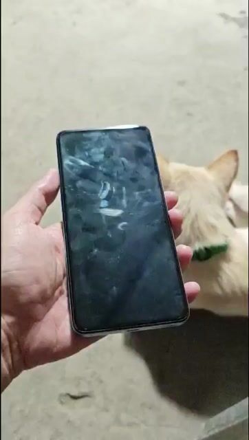 Xiaomi Redmi Xanh. Mua bán Điện thoại tại Huyện Chợ Mới An Giang được đăng bởi Tâm Xì hình 1