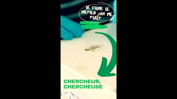 Le métier de chercheur
