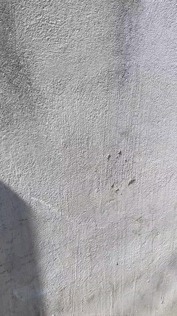 Chậu cây handmade Vải Hồng Trắng. Mua bán Cây cảnh, đồ trang trí tại Thành phố Phan Thiết Bình Thuận được đăng bởi Nga Nguyễn hình 1