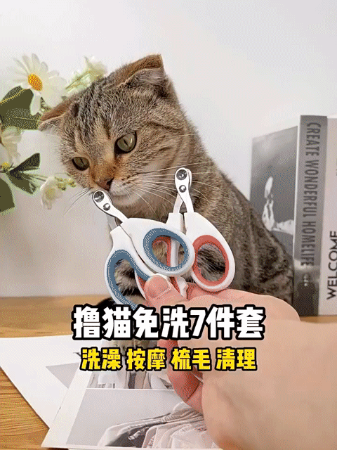 🦊 KÉO CẮT MÓNG CHO CHÓ MÈO BẰNG THÉP KHÔNG RỈ . Mua bán Phụ kiện, Thức ăn, Dịch vụ tại Quận Ninh Kiều Cần Thơ được đăng bởi Thanh Sang hình 1