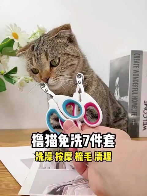 🦊 KÉO CẮT MÓNG CHO CHÓ MÈO BẰNG THÉP KHÔNG RỈ . Mua bán Phụ kiện, Thức ăn, Dịch vụ tại Quận Ninh Kiều Cần Thơ được đăng bởi Thanh Sang hình 1